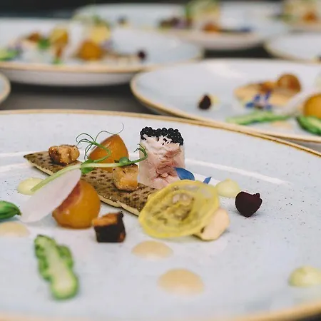 Hotel Hilton Garden Airport